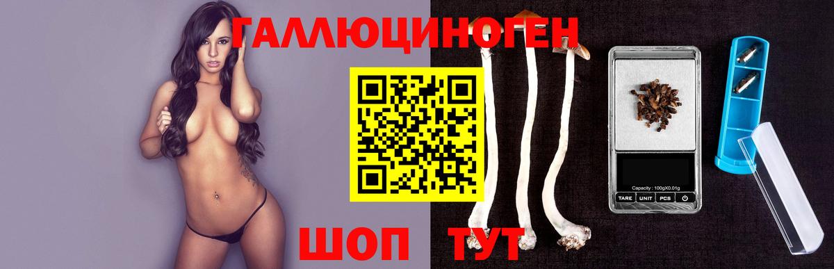 наркота  Галлюциногенные грибы MAGIC MUSHROOMS  Вход с VPN  Волгодонск  Галлюциногенные грибы мухоморы 